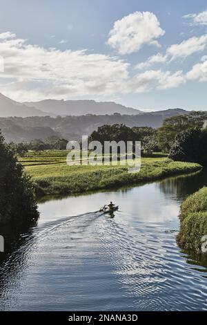 Ein Mann paddelt in einem Kanu auf dem Hanalei River Hanalei, Hawaii, USA Stockfoto
