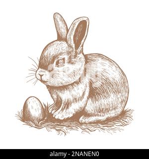Kaninchen- und Eiervektordarstellung. Stock Vektor