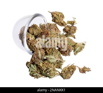 Grüne Marijuana-Knospen in Klarglas auf Weiß. Cannabislegalisierung. Stockfoto