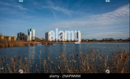 Neue Wohnungsbauten am Rand von Woodbury Wetlands am East Reservoir, Harringay, London, Großbritannien Stockfoto