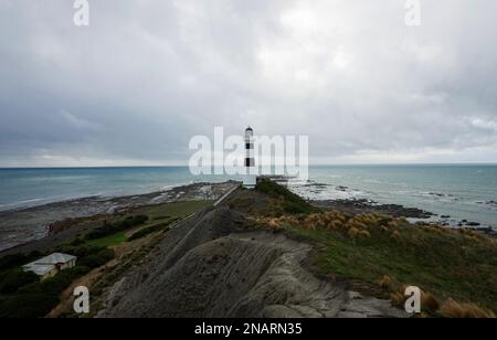 Panoramablick auf den schwarz-weißen Leuchtturm Cape Campbell am pazifik-Strand am Lake Grassmere Marlborough South Island Neuseeland Stockfoto