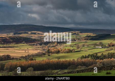 Der Sonnenschein im Spätherbst auf Upper Teesdale zwischen Bowlees und dem Steinbruch in der Ferne, aus Sicht von Stable Edge Stockfoto