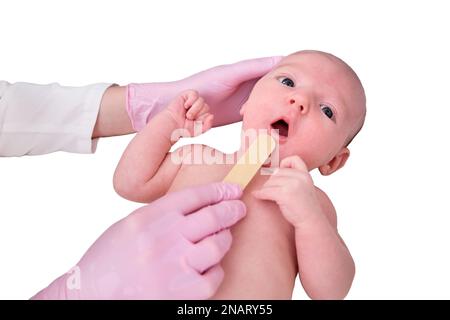 Der Arzt untersucht den Hals eines Neugeborenen mit einer Pflugschere, isoliert auf weißem Hintergrund. Eine Krankenschwester in Uniform mit einem Holzstock in der Hand Stockfoto