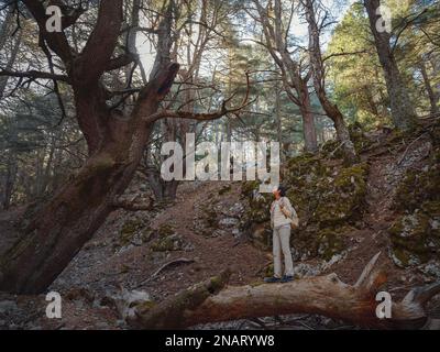 asiatische Frauen lieben es, in der Natur zu sein, wunderschöne Wälder in den Bergen. Frische Luft und Aktivitäten im Freien. Friluftsliv-Konzept bedeutet s Stockfoto