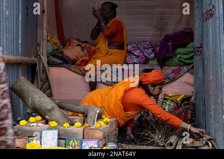 Tribeni, Westbengalen, Indien. 11. Februar 2023. Am 1. Tag des Bangiya Kumbh Snan in Majherchar Ghat und Triveni Ghat (gegenüber Maherchar Ghat) in Nadia, Westbengalen, nahmen Tausende von Pilgern Teil. Organisatoren behaupteten, dass diese Kumbh Mela nach 704 Jahren organisiert wurde und die älteste Kumbh Mela hier organisiert wurde. Abgesehen davon sind an diesem heiligen Anlass auch zahlreiche Naga Sadhus anwesend. (Kreditbild: © Swattik Jana/Pacific Press via ZUMA Press Wire) NUR REDAKTIONELLE VERWENDUNG! Nicht für den kommerziellen GEBRAUCH! Stockfoto