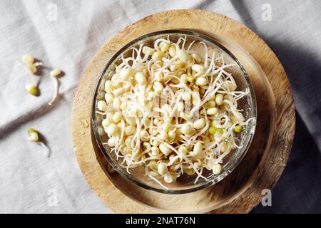 Schüssel mit frischen Mungbohnensprossen. Gesundes Essen. Stockfoto