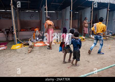 Tribeni, Westbengalen, Indien. 11. Februar 2023. Am 1. Tag des Bangiya Kumbh Snan in Majherchar Ghat und Triveni Ghat (gegenüber Maherchar Ghat) in Nadia, Westbengalen, nahmen Tausende von Pilgern Teil. Organisatoren behaupteten, dass diese Kumbh Mela nach 704 Jahren organisiert wurde und die älteste Kumbh Mela hier organisiert wurde. Abgesehen davon sind an diesem heiligen Anlass auch zahlreiche Naga Sadhus anwesend. (Kreditbild: © Swattik Jana/Pacific Press via ZUMA Press Wire) NUR REDAKTIONELLE VERWENDUNG! Nicht für den kommerziellen GEBRAUCH! Stockfoto