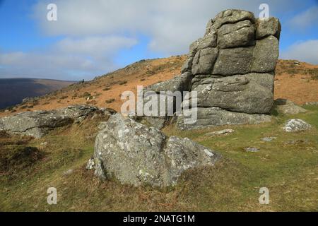 Blick in Richtung Chinkwell tor vom Bell Tor, in der Nähe von Widecombe, Dartmoor, England, Großbritannien Stockfoto