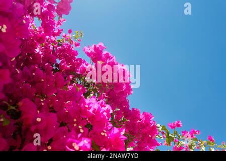 Typisch griechisches Dorf Emporio, Insel Santorin, Griechenland Stockfoto