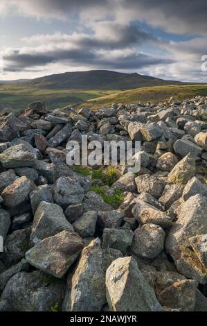 Die Aussicht von Brough Gesetz, der Breamish Tal in Richtung Hartside und Linhope in der Northumberland National Park, England Stockfoto