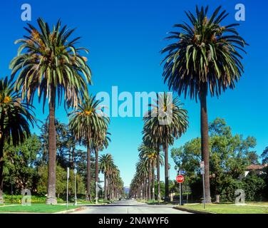 HOLLYWOOD-SCHILD (©THOMAS FISK GOFF 1978) MOUNT LEE HOLLYWOOD HILLS BEACHWOOD CANYON LOS ANGELES KALIFORNIEN USA Stockfoto