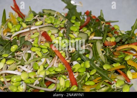 Asiatischer Salat mit viel frischem Gemüse wie Taugé, Edamame, Gurke, Paprika und einem würzigen thailändischen Dressing Stockfoto