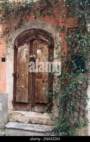 Gaeta, Italien. Alte Holztür, umgeben von Efeu. Stockfoto