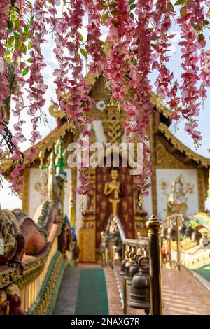 Wat Saeng Kaeo Phothiyan in Chiang Rai (Thailand) Stockfoto