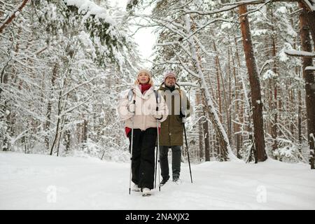 Aktives Seniorenpaar mit Rucksäcken, das am Wochenende im Pinetree Forest wandert und Zeit miteinander verbringt Stockfoto