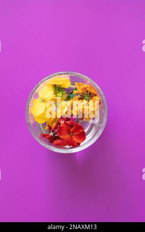 Nahaufnahme der bunten Blumen der Cheiranthus-Wandblume, die in einem Glas Wasser von oben schwimmen. Stockfoto