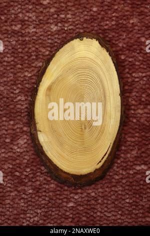 Ein großes Stück Baumstamm, das aus dem Wald geschnitten wurde. Strukturierte Oberfläche mit Ringen und Rissen auf roter Strickstruktur Stockfoto