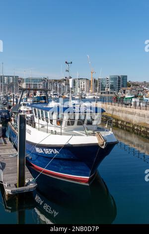 Der MBA Sepia, ein Forschungsschiff der Marine Biological Association, liegt in Sutton Harbour, Plymouth, Devon, Vereinigtes Königreich, vor Stockfoto