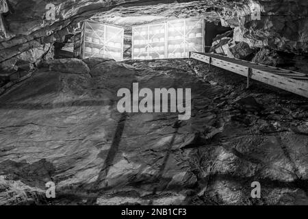 Cheddar-Käse reift in der Goughs Cave in Cheddar in Somerset Stockfoto