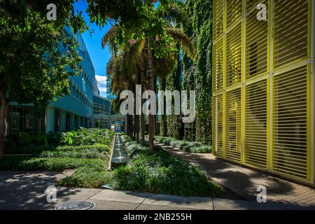 Grand Cayman, Kaimaninseln, 2022. Dezember, Blick auf eine üppige Gasse in Camana Bay Stockfoto