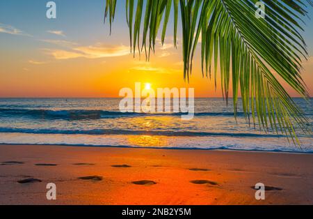 Atemberaubende tropische Strandlandschaft bei Sonnenuntergang. Stockfoto