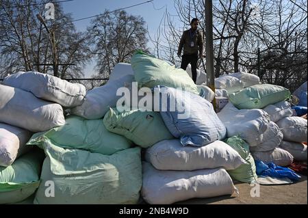 Srinagar, Indien. 13. Februar 2023. SRINAGAR, INDIEN - FEBRUAR 13: Mitglieder einer NRO organisieren Spenden, die am 13. Februar 2023 in Srinagar, Indien, in die von Erdbeben betroffenen Gebiete der Türkei und Syriens gesandt werden sollen. Mindestens 24.617 Menschen wurden in Türkiye getötet und mehr als 80.000 weitere verletzt, während die Todesfälle in Syrien bis Sonntagmorgen auf über 3.500 gestiegen sind. (Foto: Waseem Andrabi/Hindustan Times/Sipa USA) Guthaben: SIPA USA/Alamy Live News Stockfoto