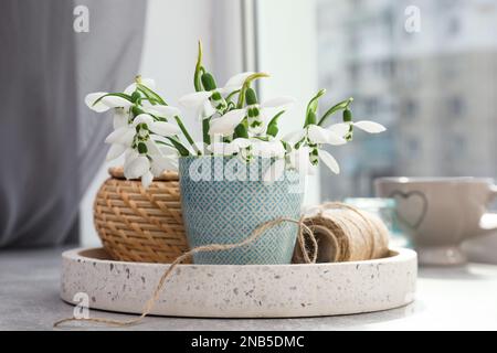 Wunderschöne Schneetropfen in Vase und Dekor auf hellgrauem Tisch in der Nähe des Fensters Stockfoto