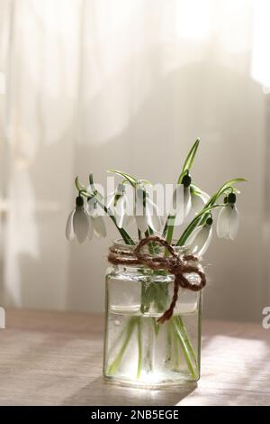 Wunderschöne Schneeglöckchen im Glasbehälter im Innenbereich. Erste Frühlingsblumen Stockfoto