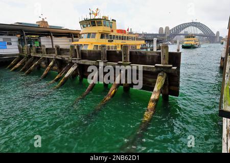 482 Fähren legen im Circular Quay Hafen an, mit der Harbour Bridge im Hintergrund. Sydney-Australien. Stockfoto