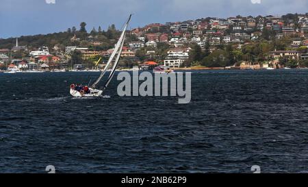 494 Uhr Segelboot zur Watsons Bay auf der South Head-Halbinsel von Port Jackson. Sydney-Australien. Stockfoto