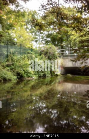 Neu, altersbeständig, digitales Zeitalter, ohne Objektiv, herausragend, Hochauflösendes, ätherisches Nadellochbild des Flusses Wandle im Morden Hall Park, England, Großbritannien Stockfoto