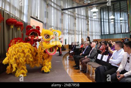 Wellington, Neuseeland. 13. Februar 2023. Am 13. Februar 2023 in Wellington, Neuseeland, wird ein Löwe beim Tanz des chinesischen Mondjahrs beobachtet. Am Montag fand im neuseeländischen parlament eine Veranstaltung zum chinesischen MondNeujahr statt. Kredit: Meng Tao/Xinhua/Alamy Live News Stockfoto