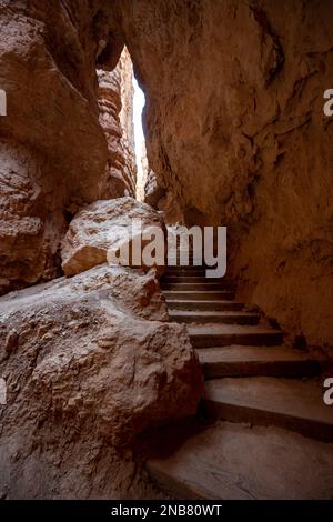 Die Treppe führt durch den Wall Street Canyon in Bryce Stockfoto