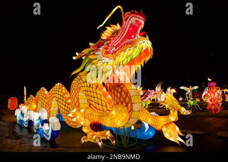 Chinese Lantern Festival in Toronto - der chinesische Drache Stockfoto