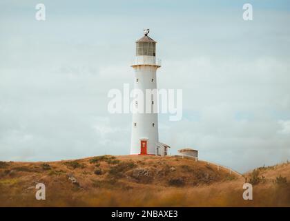 Leuchtturm in Neuseeland Stockfoto