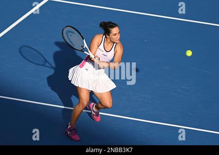 Doha, Katar. 13. Februar 2023. Martina Trevisan aus Italien kehrt während der Einzelrunde des 32. Spiels gegen Karol¨ªna Muchova aus der Tschechischen Republik um WTA500 Uhr Qatar Open 2023 in Doha, Katar, 13. Februar 2023, zurück. Kredit: Nikku/Xinhua/Alamy Live News Stockfoto