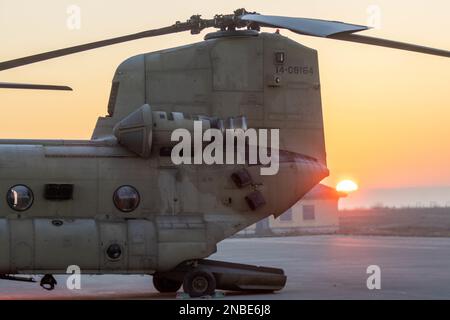 EIN US-AMERIKANISCHER Armee CH-47 Chinook, zugewiesen zum 3. Bataillon, 501. Luftfahrtregiment, Kampfluftfahrtbrigade, 1. Panzerdivision (1AD. CAB), ist bereit, 1AD CAB-Soldaten nach Türkiye für humanitäre Hilfe und Katastrophen, Mihail Kogălniceanu, Rumänien, 10. Februar 2023 zu bringen. Wir sind entschlossen, unsere dauerhaften türkischen Alliierten zu unterstützen, die über den Verlust von Menschenleben durch das Erdbeben trauern und sich von den Verwüstungen in der Region erholen. Als Teil der 4. Infanteriedivision Stürmer, arbeitet die 1. Panzerdivision, Kampfluftfahrt-Brigade, stolz mit NATO-Verbündeten und -Partnern zusammen Stockfoto