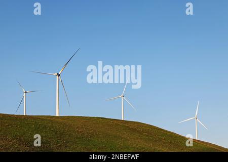 Windturbinen auf dem grünen Hügel über dem blauen Himmel. Nachhaltige Energie Stockfoto