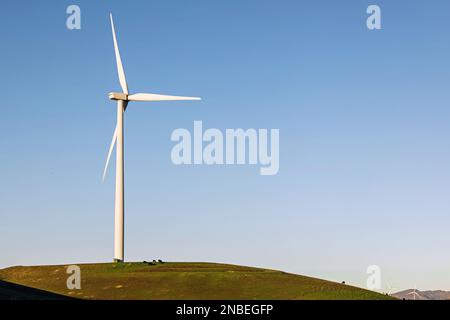 Windturbinen und Kühe auf dem grünen Hügel über dem blauen Himmel. Nachhaltige Energie Stockfoto