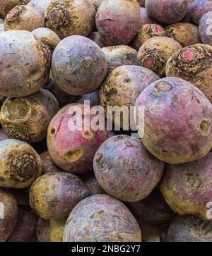 Nahaufnahme eines Haufens roter Rüben auf einem Stand Stockfoto