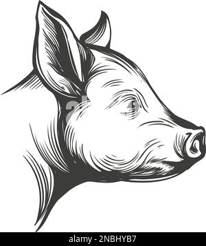 Von Hand gezeichnete Vektordarstellung mit einem Schwein realistische Skizze Stock Vektor
