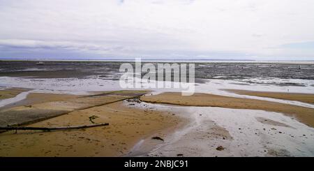 Bassin d'Arcachon bei Ebbe in Andernos-les-bains an der Arcachon Bay im Departement Gironde im Südwesten Frankreichs Stockfoto