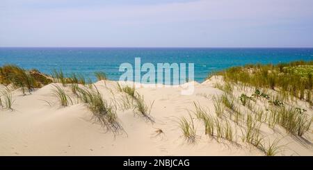 Natürlicher Sandstrand mit Dünen von Le Porge in der Nähe von Lacanau in Frankreich Stockfoto