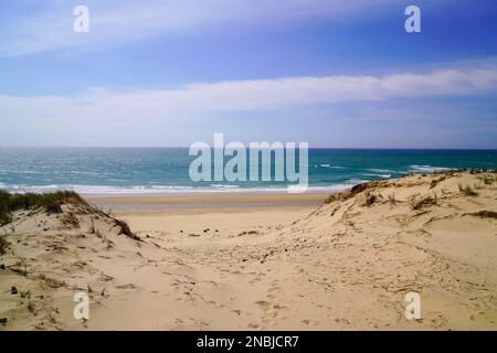 Sanddünen Zugang zum Meeresstrand in Lacanau Ozean in Frankreich Stockfoto