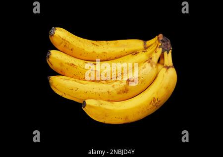 Bild eines Strickens sehr reifer Bananen auf schwarzem Hintergrund Stockfoto