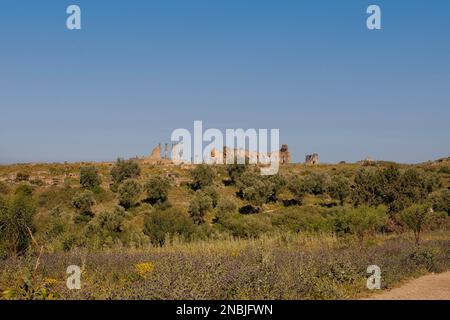 Römische Basilika und Forum in Volubilis, UNESCO-Weltkulturerbe in Marokko Stockfoto