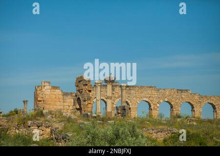 Storchnest in den Ruinen der Basilika auf der archäologischen Stätte Volubilis in Marokko Stockfoto