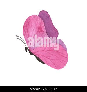 Pink Violett Schmetterling mit detaillierten Flügeln isoliert auf weißem Hintergrund. Aquarell handgezeichnete realistische Insektenlustration für Design-Banner, Poster. Stockfoto