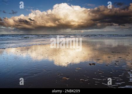 Nordsee, eine große, helle Wolke, die sich im nassen Sand spiegelt. Egmond aan Zee, Niederlande. Stockfoto