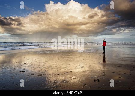 Nordsee, eine Frau mit einer roten Jacke, die am Strand steht. Eine große, helle Wolke darüber, die sich im nassen Sand spiegelt. Egmond aan Zee, Niederlande. Stockfoto